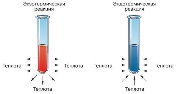 Естествознание. Базовый уровень. 10 класс - i_159.jpg