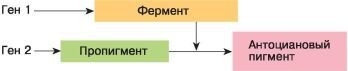 Биология. Общая биология. Базовый уровень. 10 класс - i_095.jpg