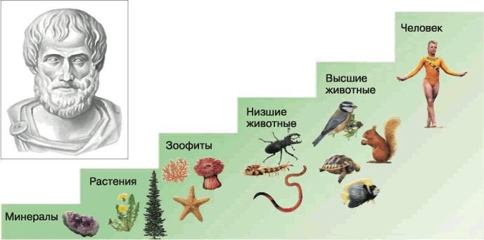 Биология. Общая биология. Базовый уровень. 11 класс - i_003.jpg
