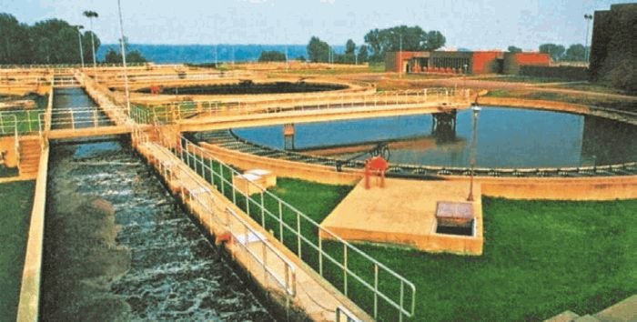 Биология. Общая биология. Базовый уровень. 11 класс - i_100.jpg