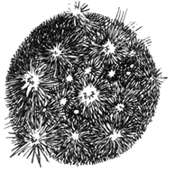 Софья и Царство Тьмы - i_010.png