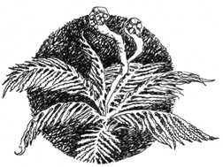Софья и Царство Тьмы - i_024.png