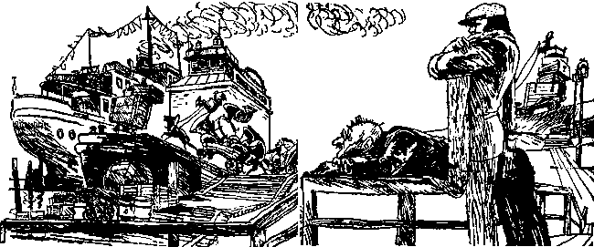 Двенадцать стульев (илл. Е. Шукаева) - pic_67.png