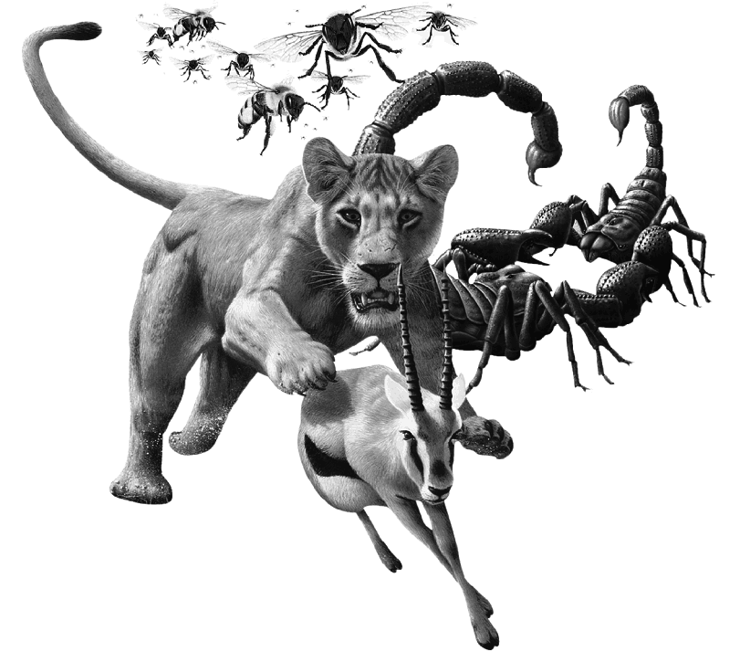 Кто есть кто в мире животных - i_041.png