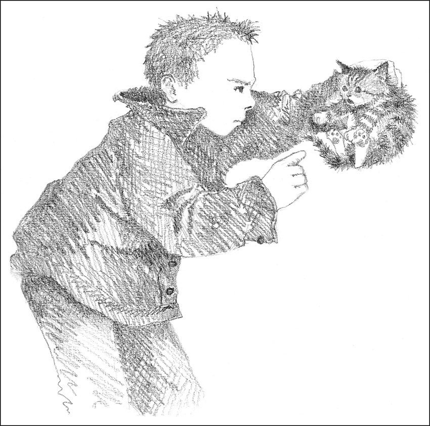 Котёнок Пушинка, или Рождественское чудо - i_011.jpg