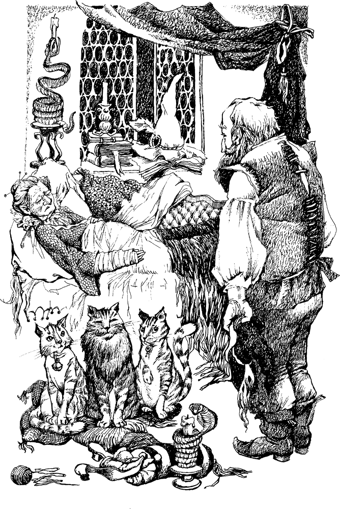 Темный Властелин Деркхольма (илл. Горбунова) - i_013.png