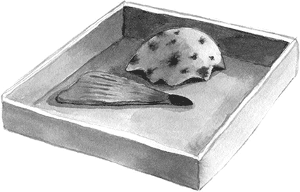 Зима от начала до конца (сборник) - i_094.png