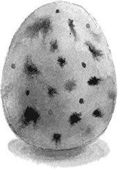 Зима от начала до конца (сборник) - i_095.png