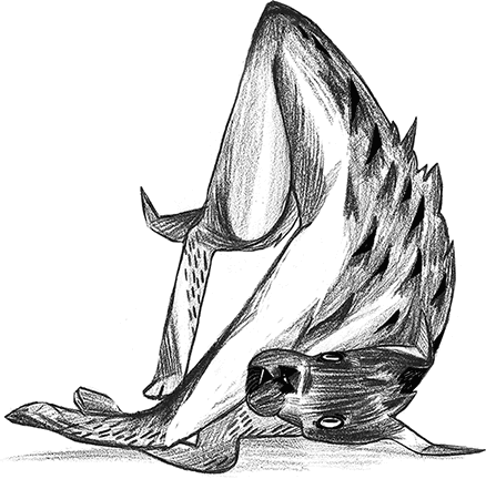 Книга всех вещей (илл. Сердюковой) - i_005.png