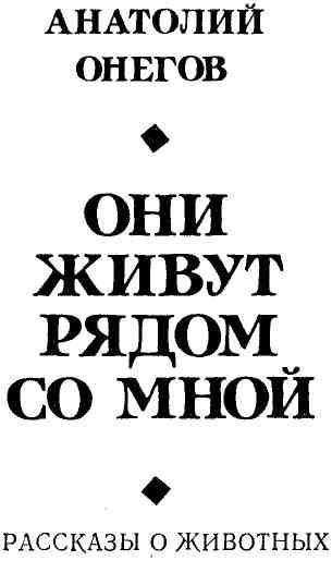 Они живут рядом со мной (сборник) - img_2.jpeg