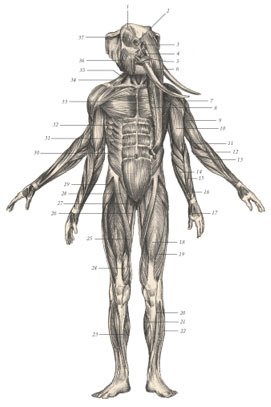 Химера - i_048.jpg