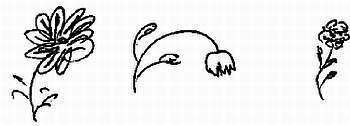 Графология: характер по почерку - _72.jpg