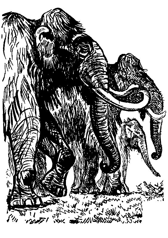 Земля Санникова (илл. Г. Никольского) - pic_38.png
