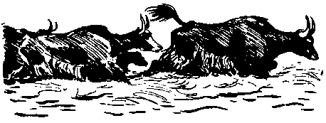 Земля Санникова (илл. Г. Никольского) - pic_55.png