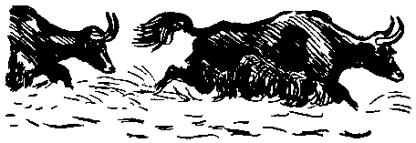 Земля Санникова (илл. Г. Никольского) - pic_56.png