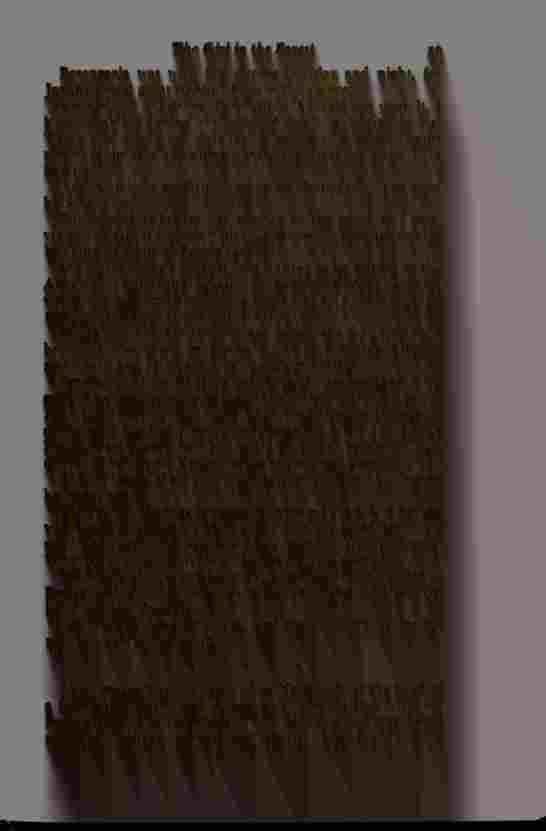 The Prince of Darkness - _121.jpg