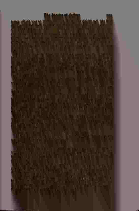 The Prince of Darkness - _452.jpg