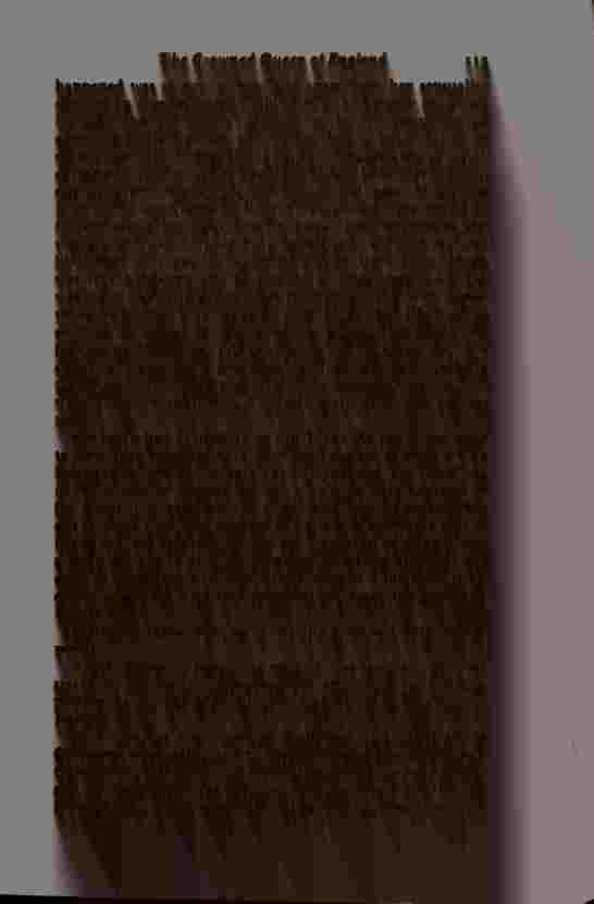 The Prince of Darkness - _233.jpg