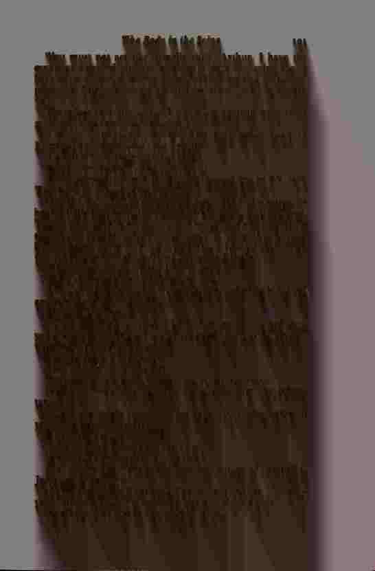 The Prince of Darkness - _385.jpg