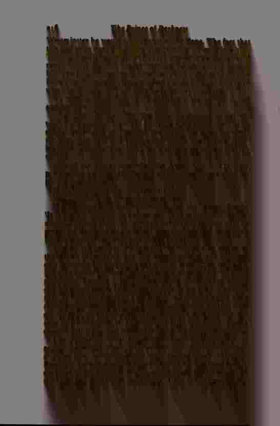 The Prince of Darkness - _434.jpg