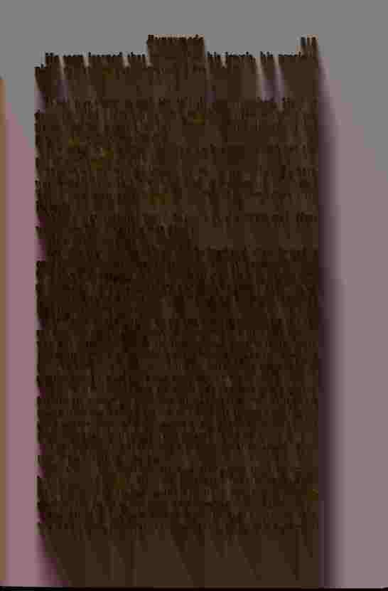The Prince of Darkness - _628.jpg