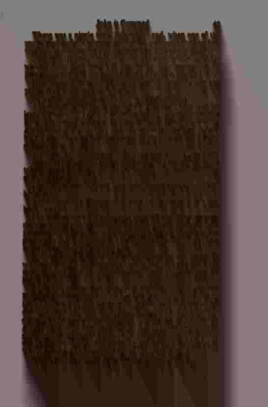 The Prince of Darkness - _102.jpg