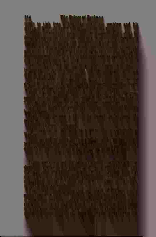 The Prince of Darkness - _430.jpg