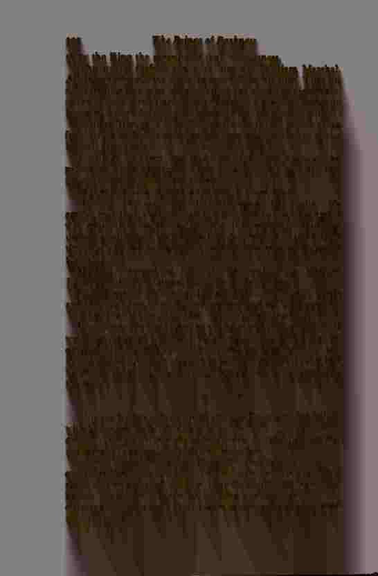 The Prince of Darkness - _606.jpg