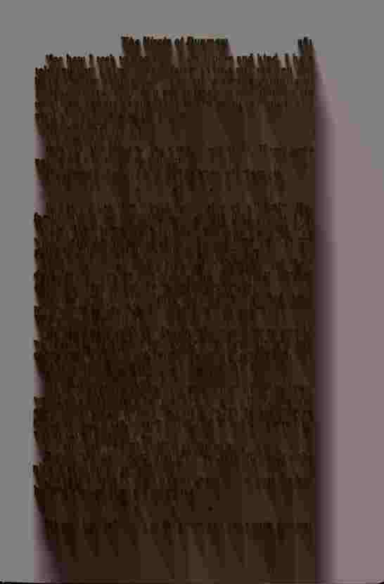 The Prince of Darkness - _524.jpg