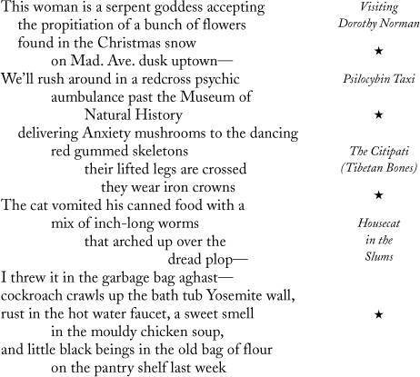 Collected Poems 1947-1997  - _16.jpg