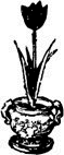 Черный тюльпан (др. изд.) - id73012_image035.png