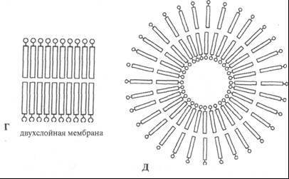 Скрытые связи - doc2fb_image_02000003.jpg