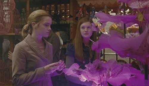 Гарри Поттер и Принц-полукровка (с илл. из фильма) - i_017.jpg