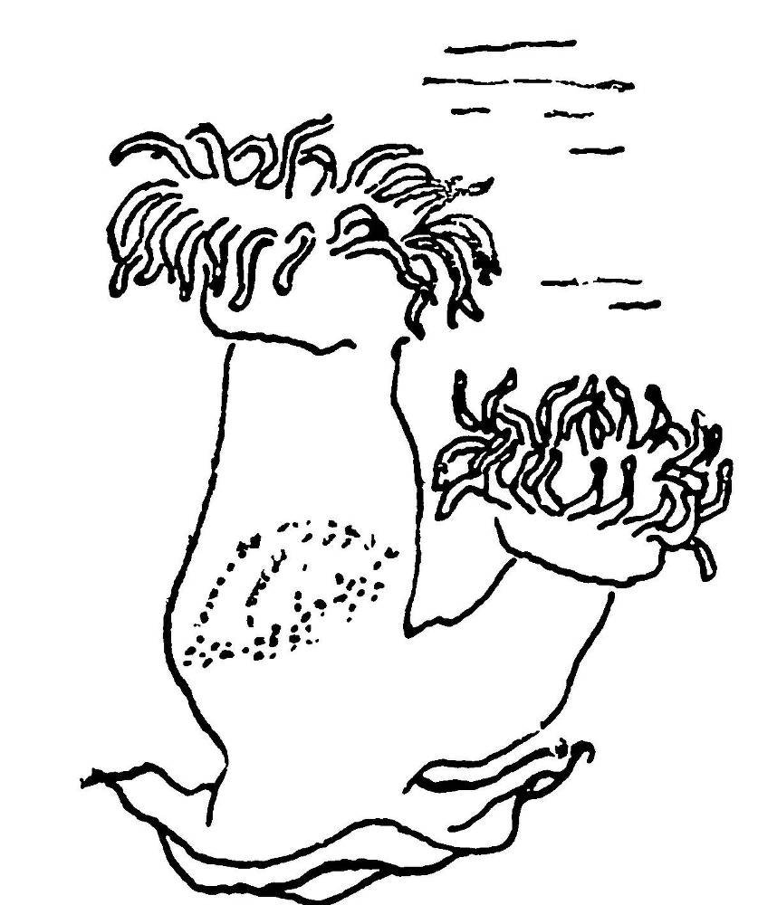 С утра и до вечера - _16.jpg
