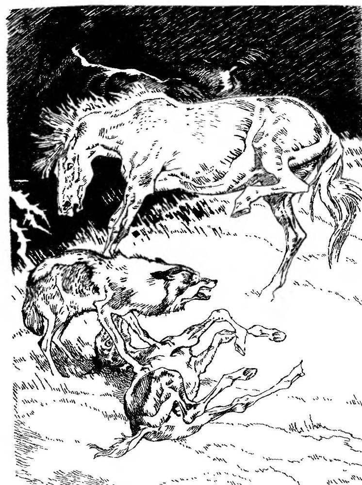 Разбойник и Мишка - _3.jpg