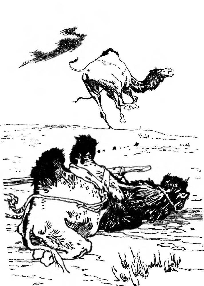 Разбойник и Мишка - _9.jpg