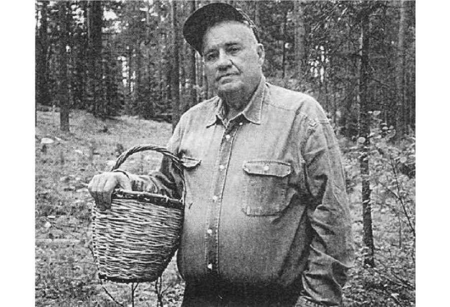 Любовь-весенняя страна - _12.jpg