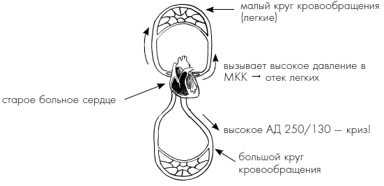 Пока едет «Скорая». Рассказы, которые могут спасти вашу жизнь - i_003.png