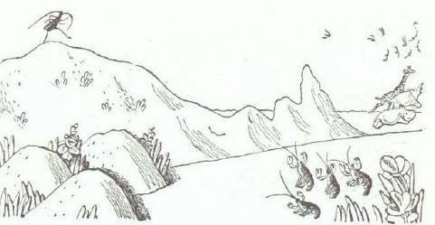 Сказки (иллюстрации Конашевича В.М.) - _78.jpg