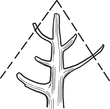 Календарь работ садовода-огородника. Прививаем сад - i_093.png