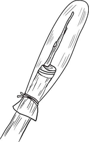 Календарь работ садовода-огородника. Прививаем сад - i_097.png