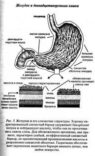 Ваше тело просит воды - pic_5.jpg