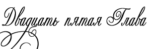 Объект его страсти - _25.png
