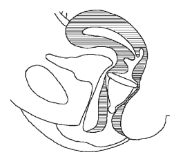 200 интимных вопросов гинекологу - i_003.png