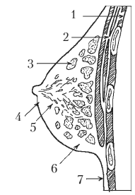 200 интимных вопросов гинекологу - i_004.png