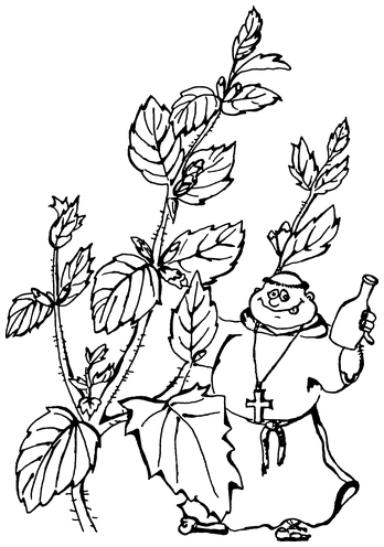 Растения, побеждающие боль. Дача — вылечит, дача — исцелит - i_007.png