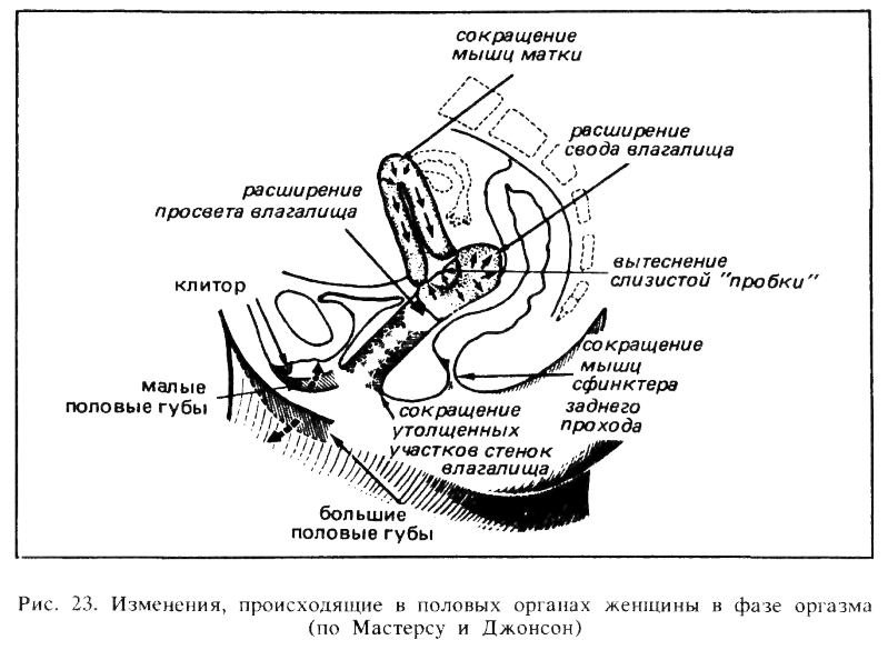Искусство любви - _24.png