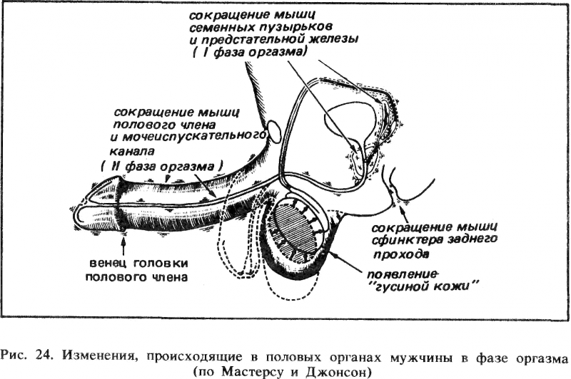Искусство любви - _25.png