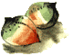 Огненный бог Марранов - i_027.png