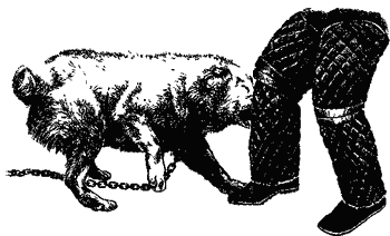 Собака сопровождения - i_035.png